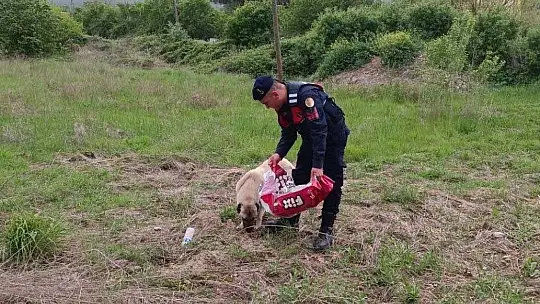 Can Dostlarımızı Yalnız Bırakmadık