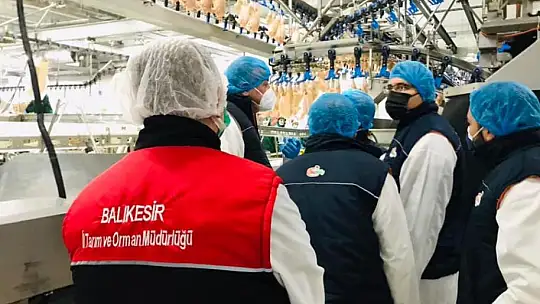 Balıkesir 39 Milyon Kanatlı Üretimi İle Türkiye'de İkinci Sırada…