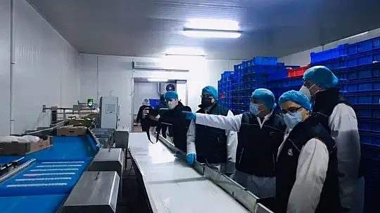 Balıkesir 39 Milyon Kanatlı Üretimi İle Türkiye'de İkinci Sırada…
