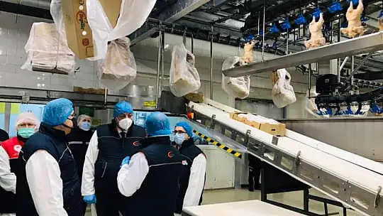 Balıkesir 39 Milyon Kanatlı Üretimi İle Türkiye'de İkinci Sırada…