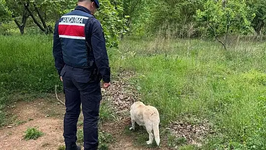 Can Dostlarımızı Yalnız Bırakmadık