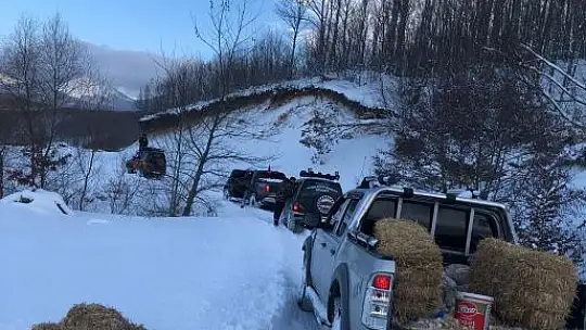 Susurluk Belediyesi Yaban Hayvanlarını Unutmadı