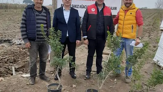 'Sakız Ağacı Projesi'inde Fidanlar Toprakla Buluştu...
