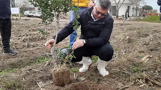 'Sakız Ağacı Projesi'inde Fidanlar Toprakla Buluştu...