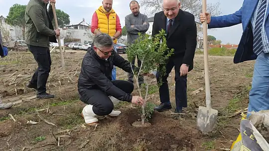 'Sakız Ağacı Projesi'inde Fidanlar Toprakla Buluştu...