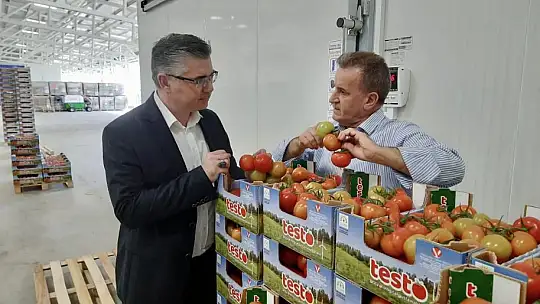 Cam Serada Üretilen Domatesler Dünya'ya İhraç Ediliyor