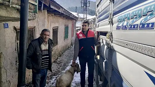 Balıkesir'den Deprem Bölgesine Karkas Kuzu Eti Gönderiliyor…