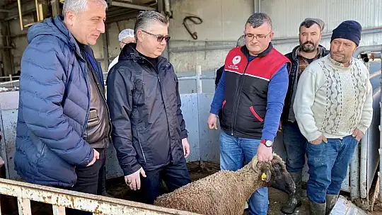 Balıkesir'den Deprem Bölgesine Karkas Kuzu Eti Gönderiliyor…