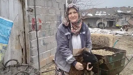Balıkesir'den Deprem Bölgesine Karkas Kuzu Eti Gönderiliyor…