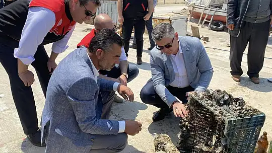 Deniz Dibi ve Sahil Temizliği Yapıldı