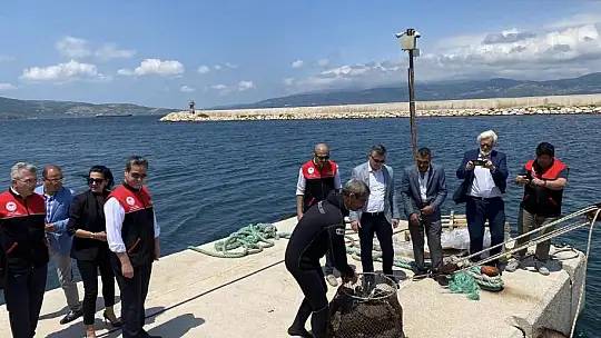 Deniz Dibi ve Sahil Temizliği Yapıldı