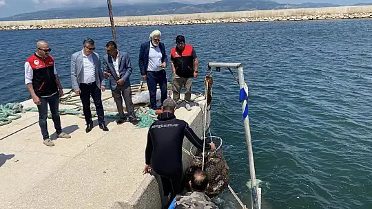 Deniz Dibi ve Sahil Temizliği Yapıldı
