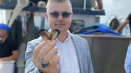 Bandırma'dan Midye Hasadı