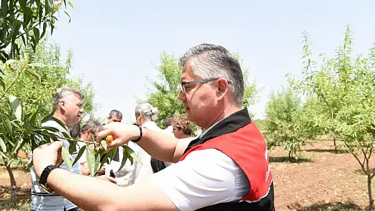 Kokarca'ya Karşı Biyolojik Mücadele Başladı…