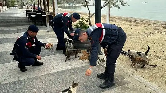 Can Dostlarımızı Yalnız Bırakmadık