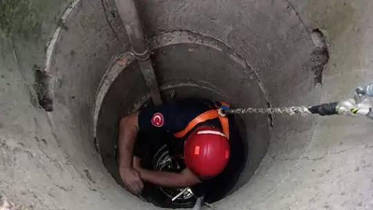 Yavru Kedi 14 Metre Kuyudan Kurtarıldı