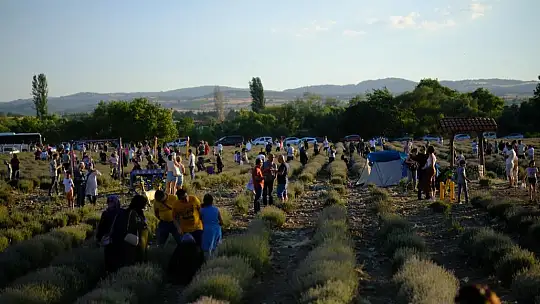 2.ALTIEYLÜL LAVANTA GÜNLERİ'NE ZİYARETÇİ AKINI