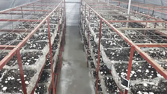 İvrindi'de Kadınlara İstihdam Kapısı Açıldı