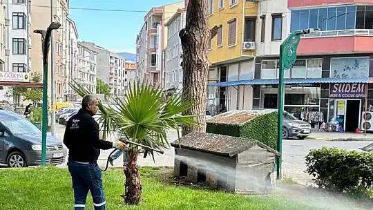 SİNEK VE HAŞERESİZ YAZ İÇİN EKİPLER SAHADA