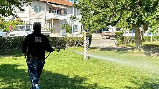 SİNEK VE HAŞERESİZ YAZ İÇİN EKİPLER SAHADA