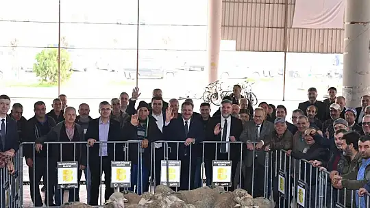 Büyükşehir, Kepsut'ta damızlıkları üreticiyle buluşturdu