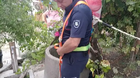 Yavru Kedi 14 Metre Kuyudan Kurtarıldı