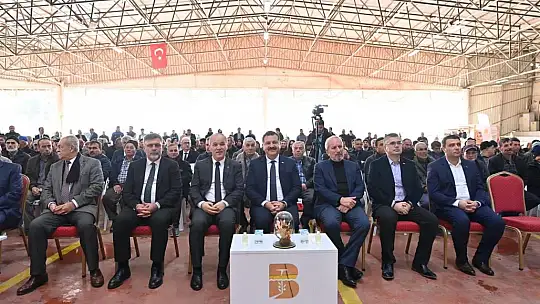 Büyükşehir, Kepsut'ta damızlıkları üreticiyle buluşturdu