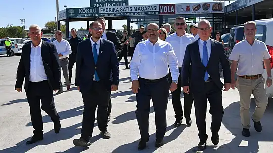 Ayvalık'ta Yılın İlk Zeytin Hasadı Yapıldı