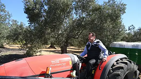 Altın Sarısı Sofralarımızla Buluşacak