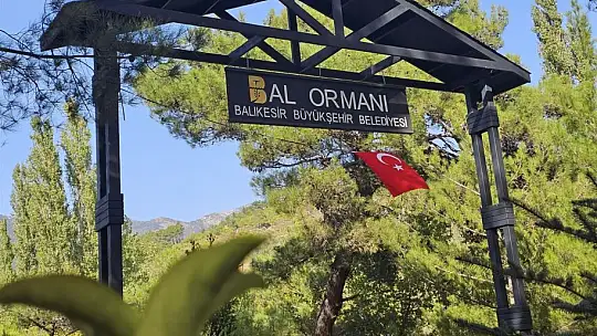 ''KAZDAĞLARINDA DOĞAN MUCİZE''