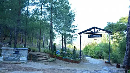 ''KAZDAĞLARINDA DOĞAN MUCİZE''