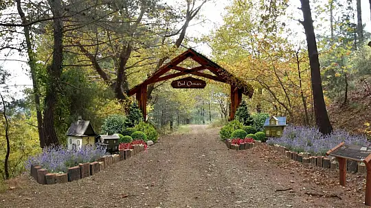 ''KAZDAĞLARINDA DOĞAN MUCİZE''