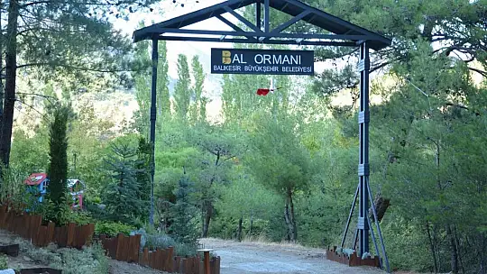 ''KAZDAĞLARINDA DOĞAN MUCİZE''