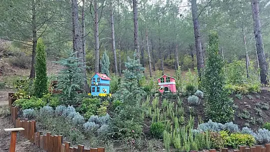 ''KAZDAĞLARINDA DOĞAN MUCİZE''