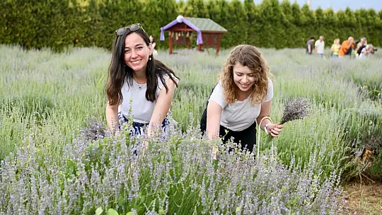 Aromaterapi'ye dair her şey bu festivalde