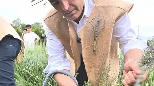 Aromaterapi'ye dair her şey bu festivalde