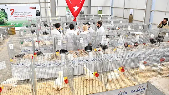 Balıkesir Tarım ve Hayvancılık Fuarı ziyaretçi rekoru kırdı