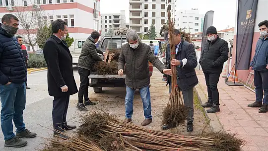 Büyükşehir'den Üreticiye 15 Milyon Destek