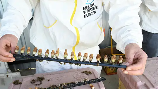 Büyükşehir'den arıcılık sektörüne önemli destek