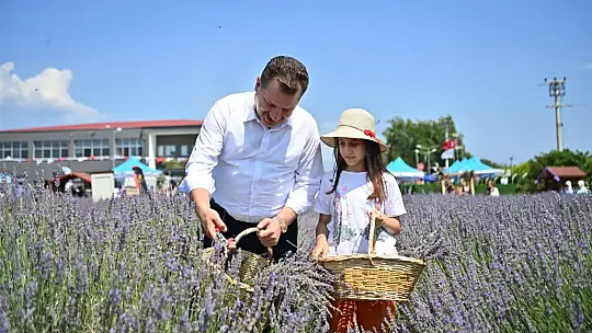 Başkan Yılmaz, aromatik bitki hasadına katıldı