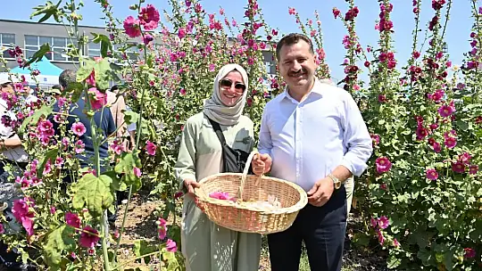 Başkan Yılmaz, aromatik bitki hasadına katıldı