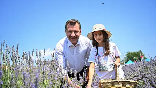 Başkan Yılmaz, aromatik bitki hasadına katıldı