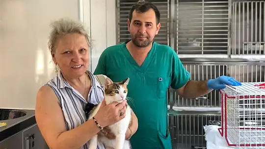 Bbb, Sokak Hayvanları İçin Var Gücüyle Çalışıyor