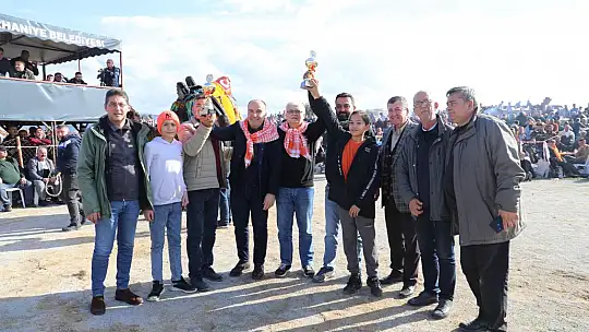 Burhaniye'de Zeytin Hasat Festivali ve Deve Güreşleri Başlıyor