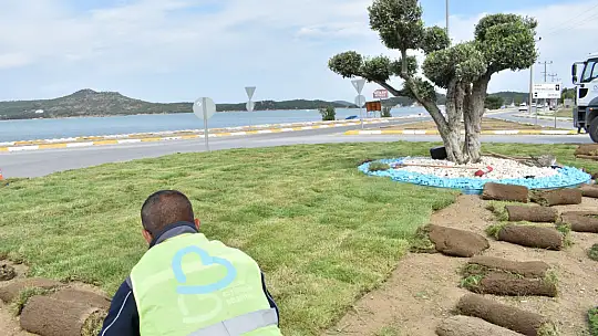 Büyükşehir Belediyesi ürettiği çimleri kullanıyor