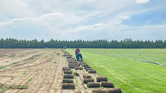 Büyükşehir Belediyesi ürettiği çimleri kullanıyor