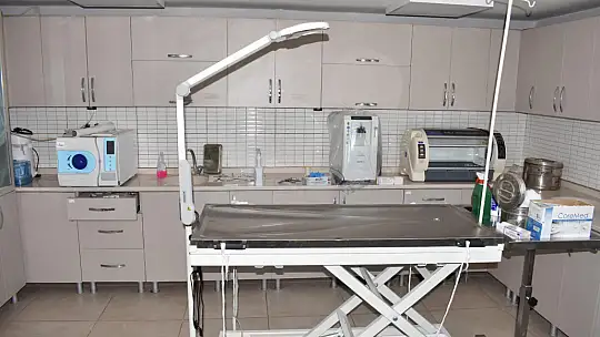 Büyükşehir, Edremit Çıkrıkçı Hayvan Barınağı'nı tıbbi cihazlarla güçlendirdi