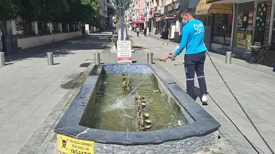 Büyükşehir ekipleri haşereye geçit vermiyor