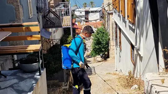 Büyükşehir ekipleri haşereye geçit vermiyor