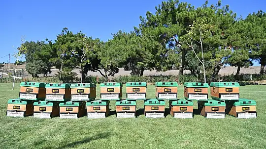 BALIKESİR'DE ARICILAR İÇİN YENİ DESTEKLER